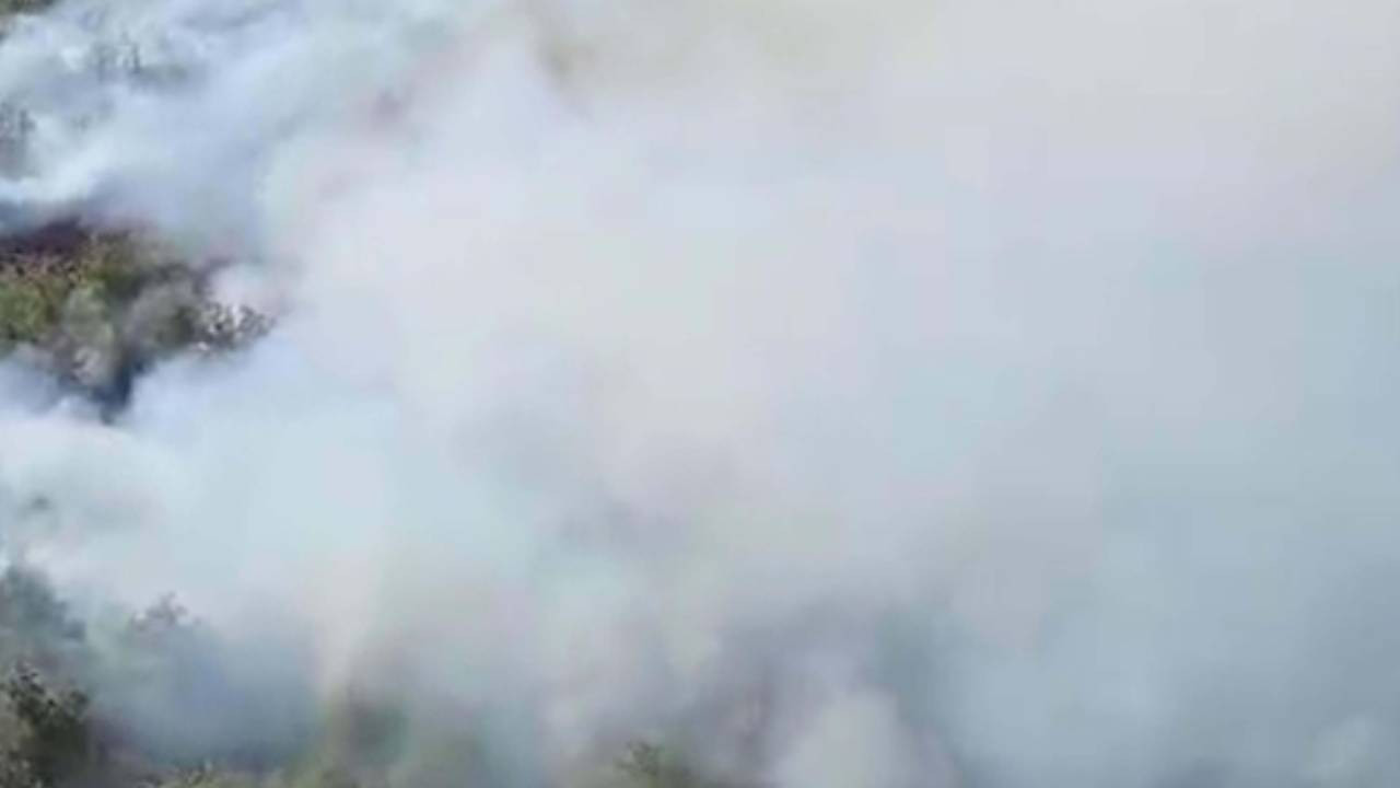 Muğla’da orman yangını: Havadan ve karadan müdahale ediliyor